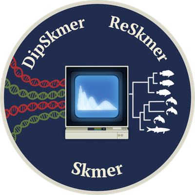 ReSkmer logo